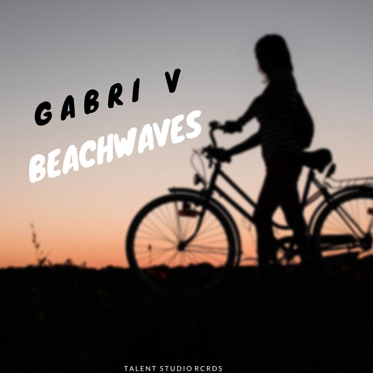 Gabri V's avatar image