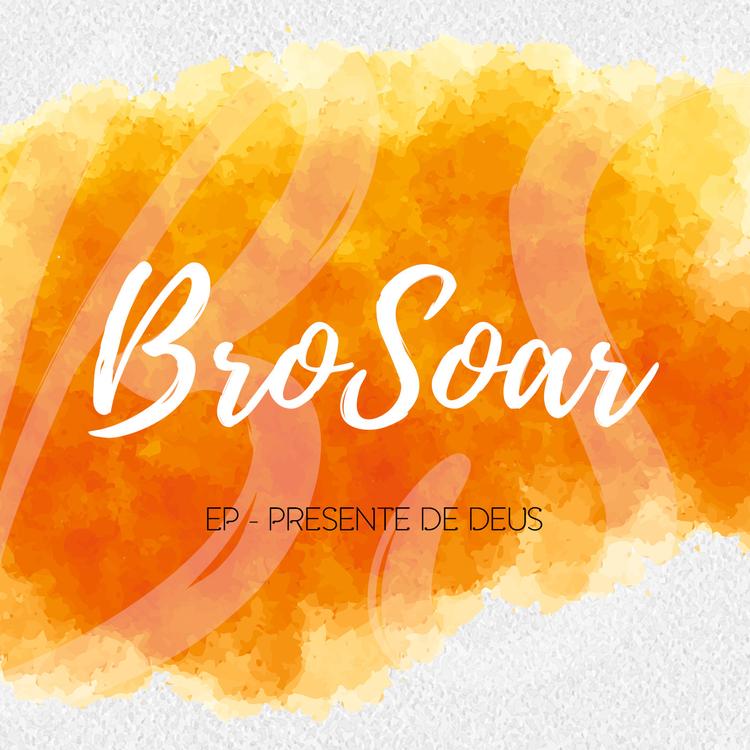 BroSoar's avatar image