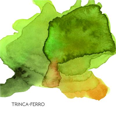 Dança de Orixá By Trinca-Ferro, Alice Santiago's cover