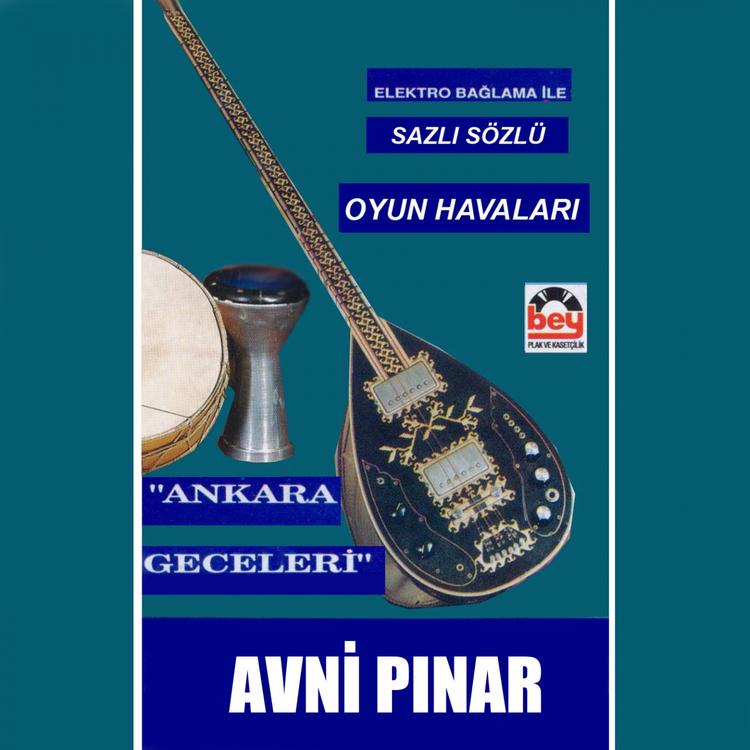 Avni Pınar's avatar image