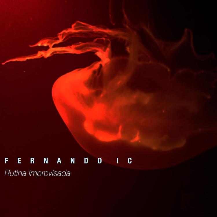 Fernando Ic's avatar image