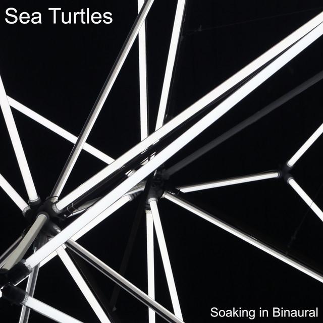 Sea Turtles's avatar image