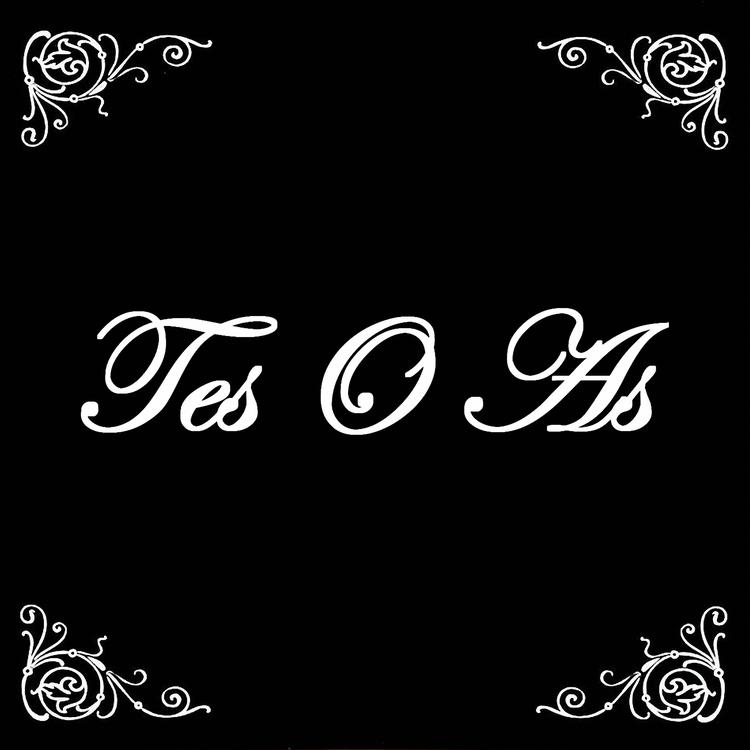 Tes O As's avatar image