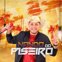 Nando do Piseiro's avatar cover