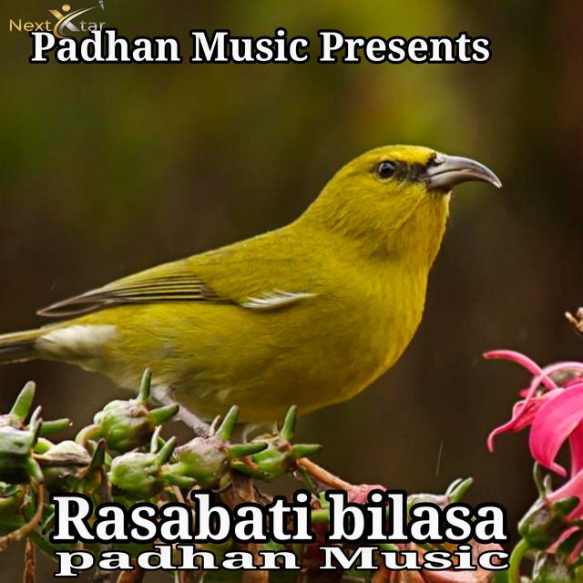 Padhan Music's avatar image