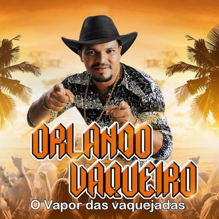 Orlando Vaqueiro's avatar image