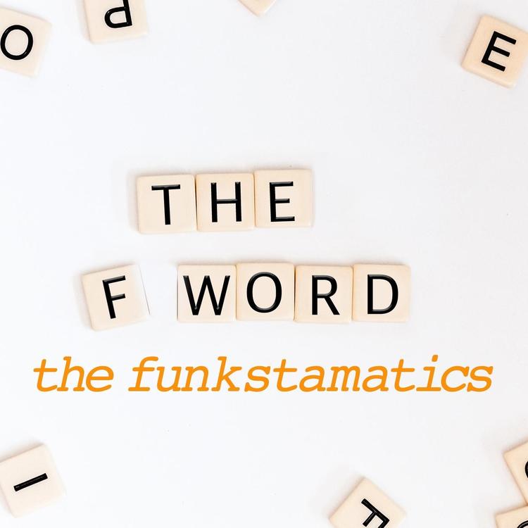 The Funkstamatics's avatar image