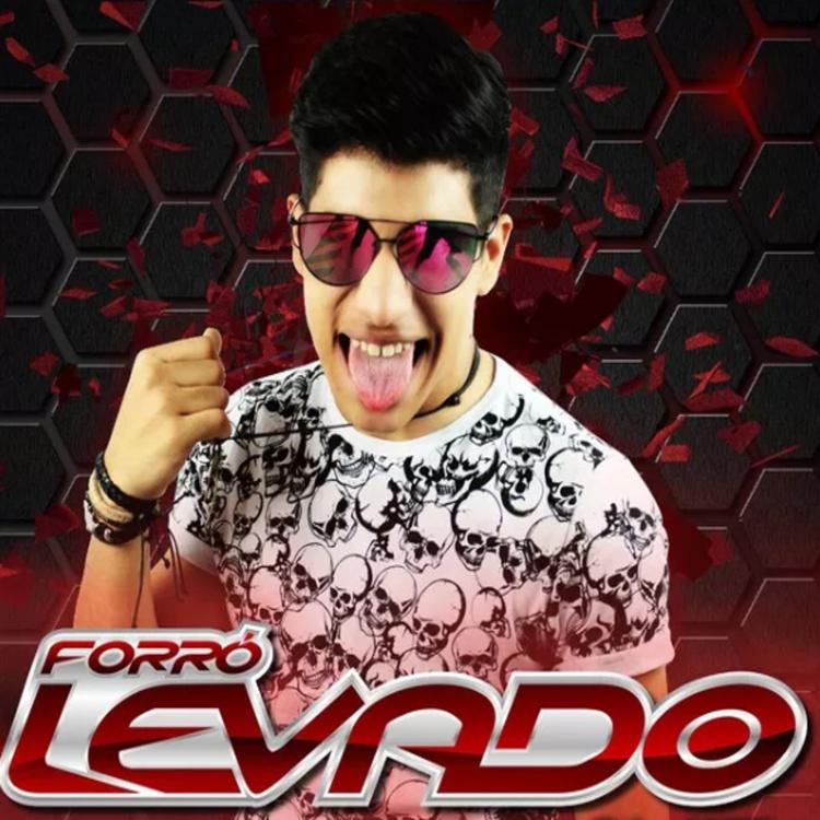 Forró Levado's avatar image