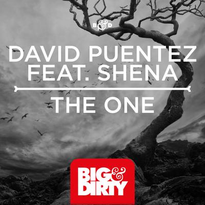 The One's cover