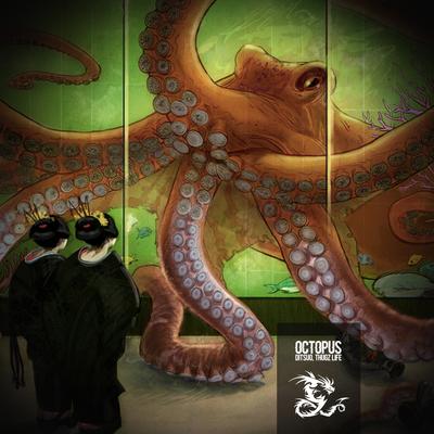 Octopus's cover