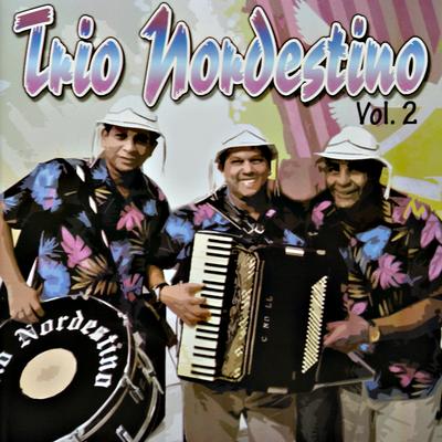 Trio Nordestino, Vol. 2's cover