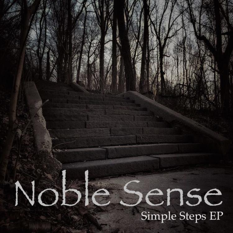 Noble Sense's avatar image