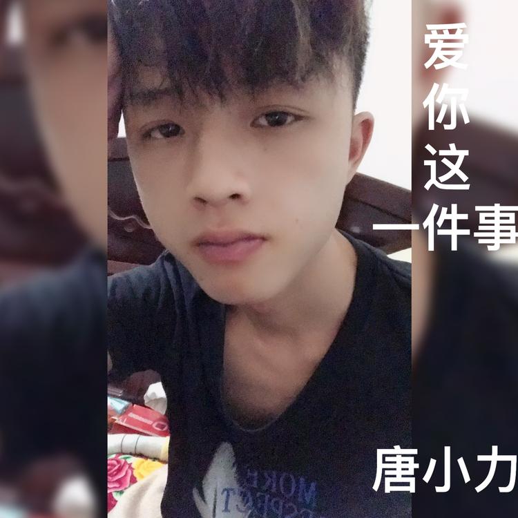 唐小力's avatar image