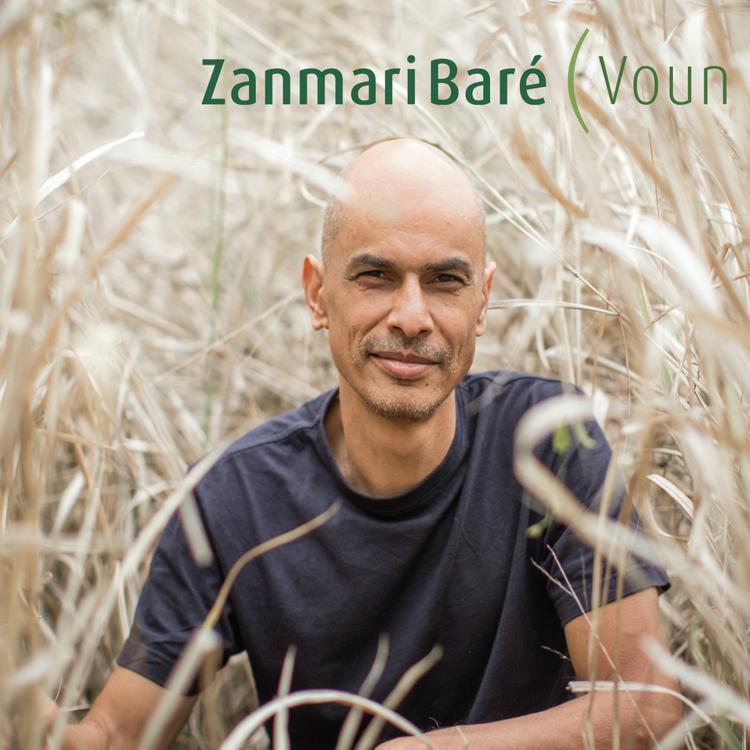 Zanmari Baré's avatar image