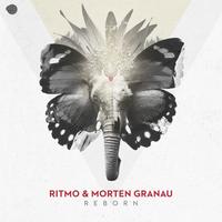 Ritmo's avatar cover