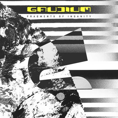Fragments of Insanity By Gaudium's cover
