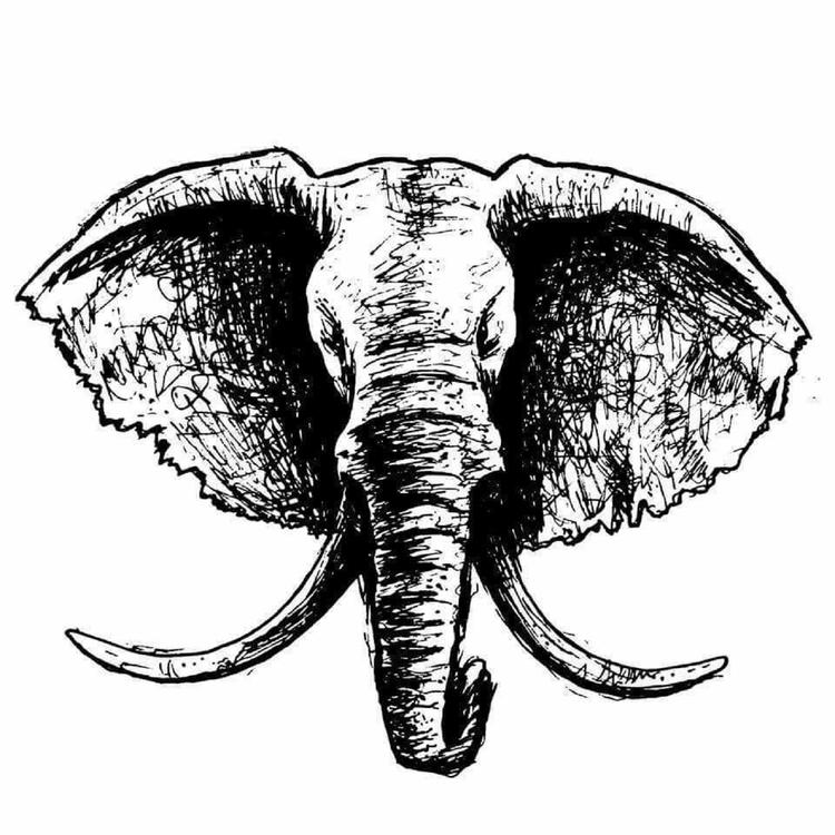 Delicadeza Elefante's avatar image