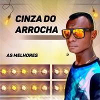 Cinza do arrocha's avatar cover