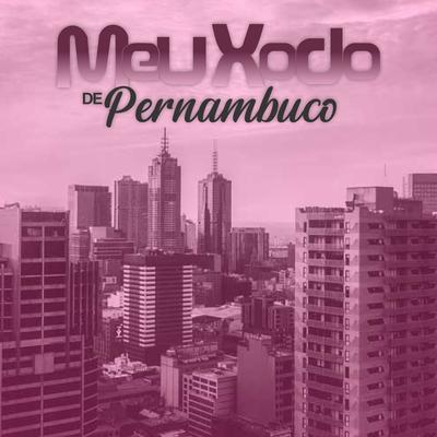 Máquina do Tempo By Banda Meu Xodó De Pernambuco's cover