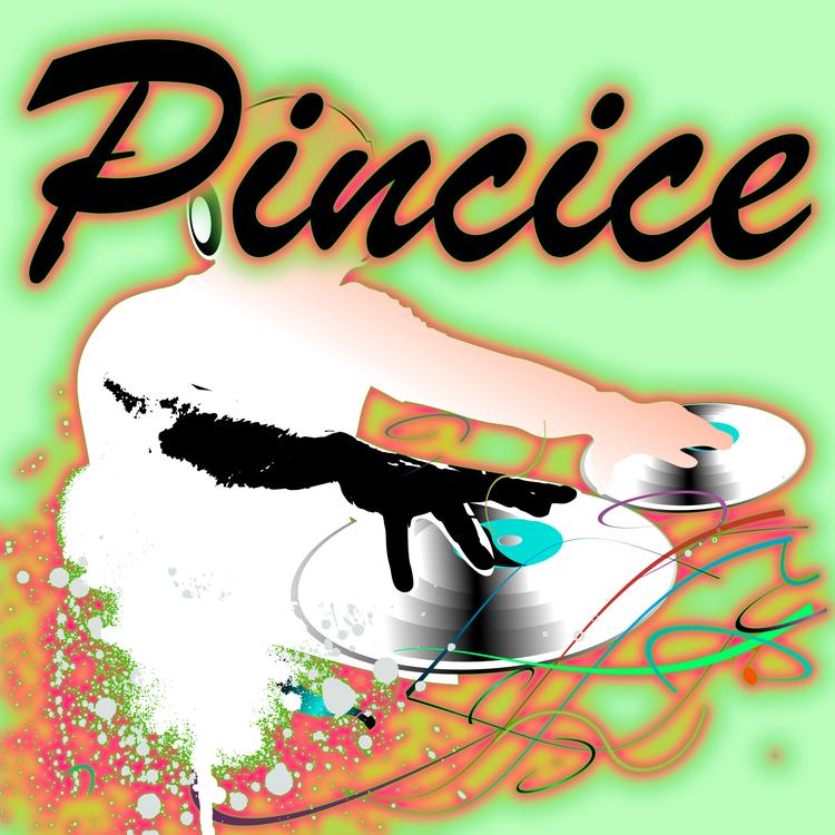 Pincice's avatar image