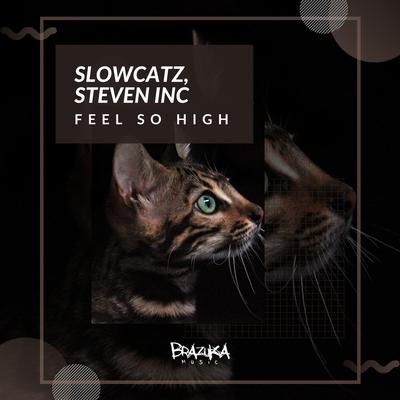 Feel So High By Slowcatz, Steven Inc's cover