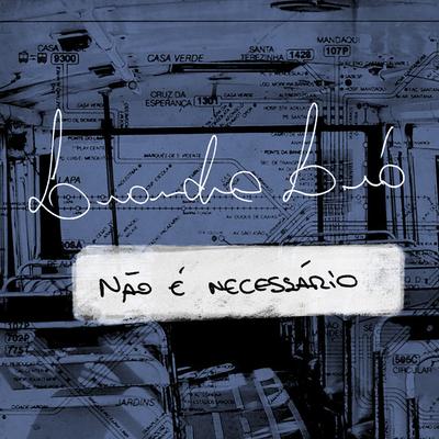 Não É Necessário By Vander Lee, Leandro Léo's cover