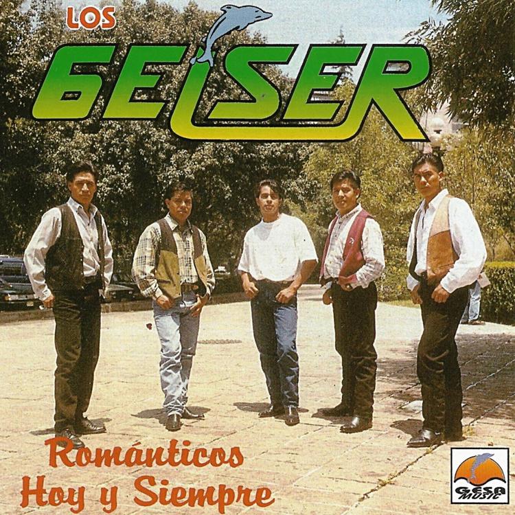 Los Geiser's avatar image