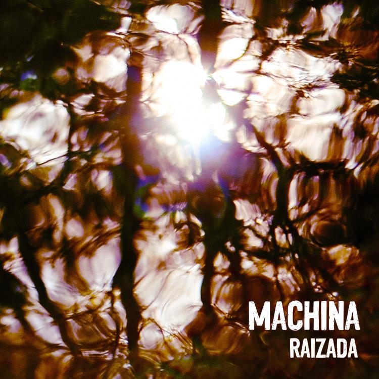 Machina musica's avatar image