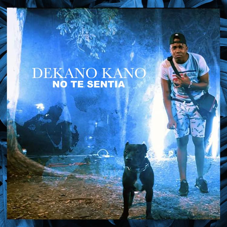 Dekano Kano's avatar image