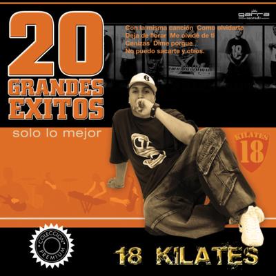 20 Grandes Éxitos's cover