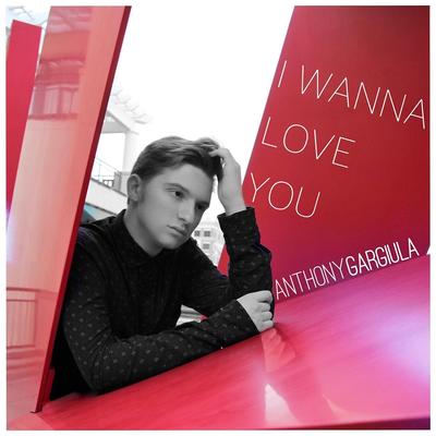 I Wanna Love You By Anthony Gargiula's cover
