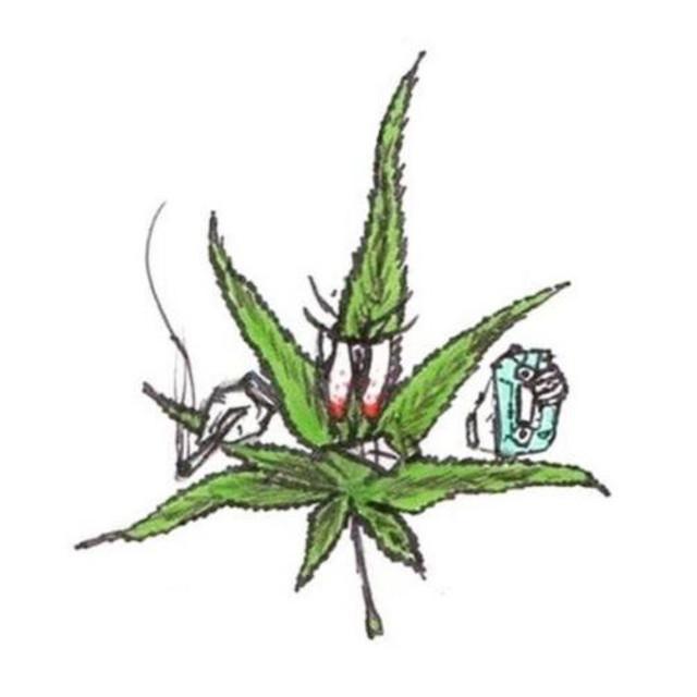 WEEDMANE's avatar image