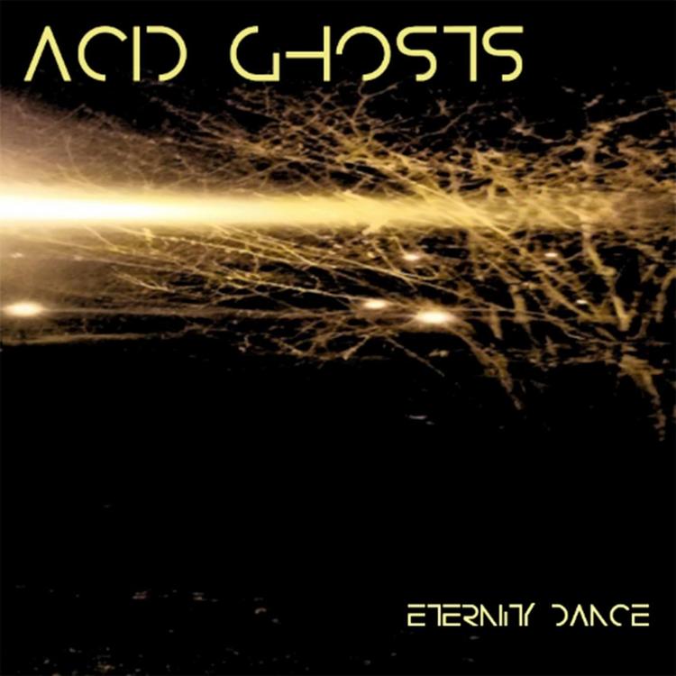 Acid Ghosts's avatar image