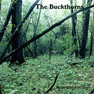 The Buckthorns's cover