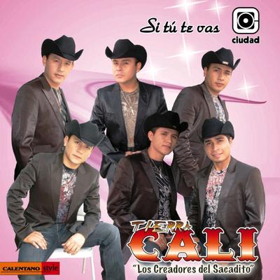 Si Tú Te Vas (Los Creadores del Sacadito)'s cover