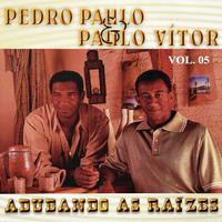 Pedro Paulo & Paulo Vitor's avatar cover