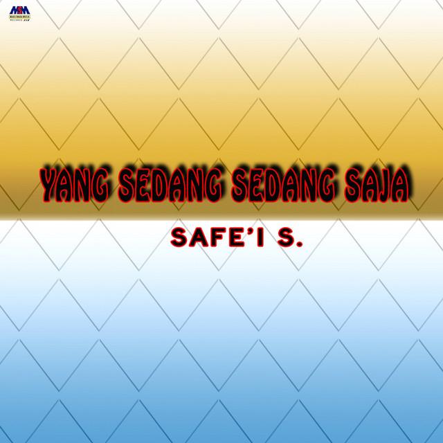 Safei S's avatar image