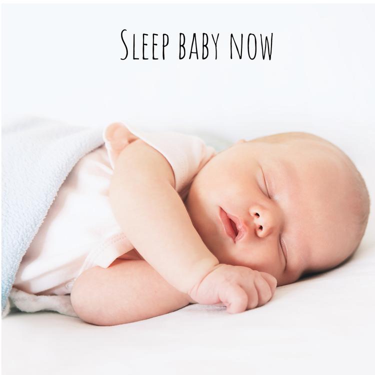 Sleep Baby Now's avatar image