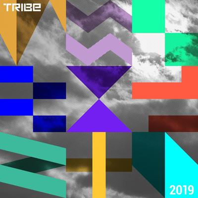 Tribe Records Presents Tribe Vibe 2019's cover