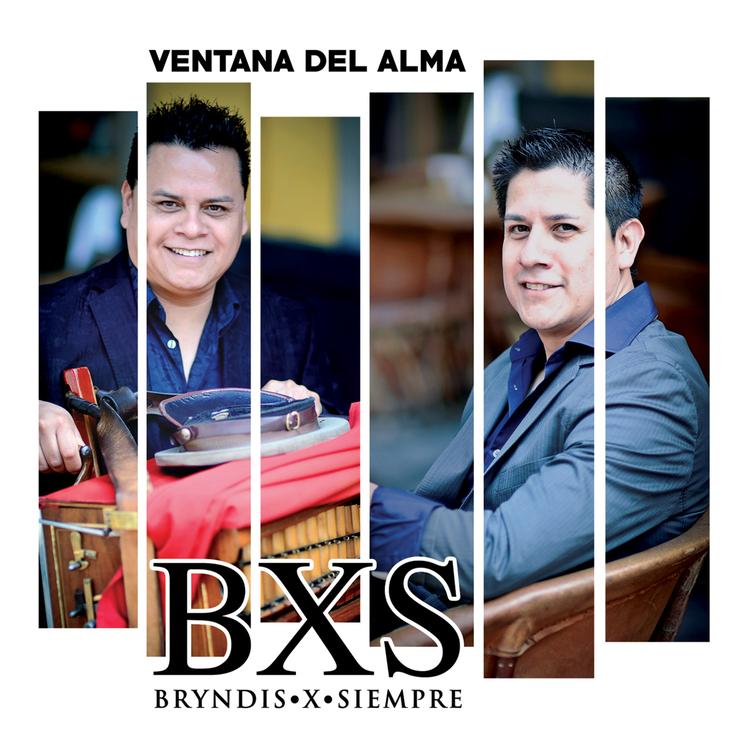 BXS (Bryndis por Siempre)'s avatar image