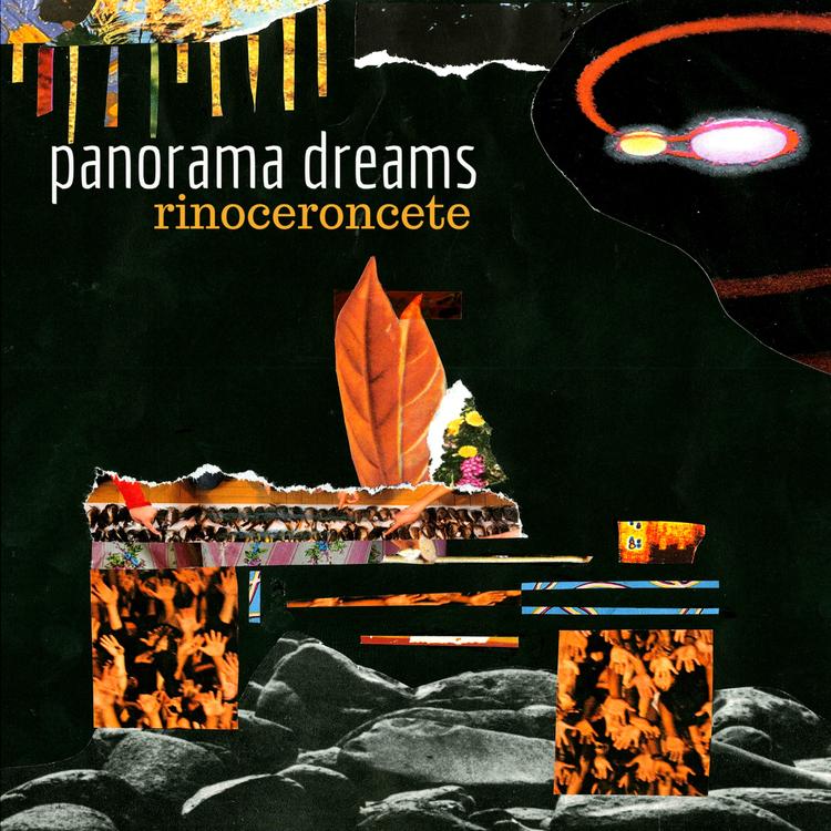 Panorama Dreams's avatar image