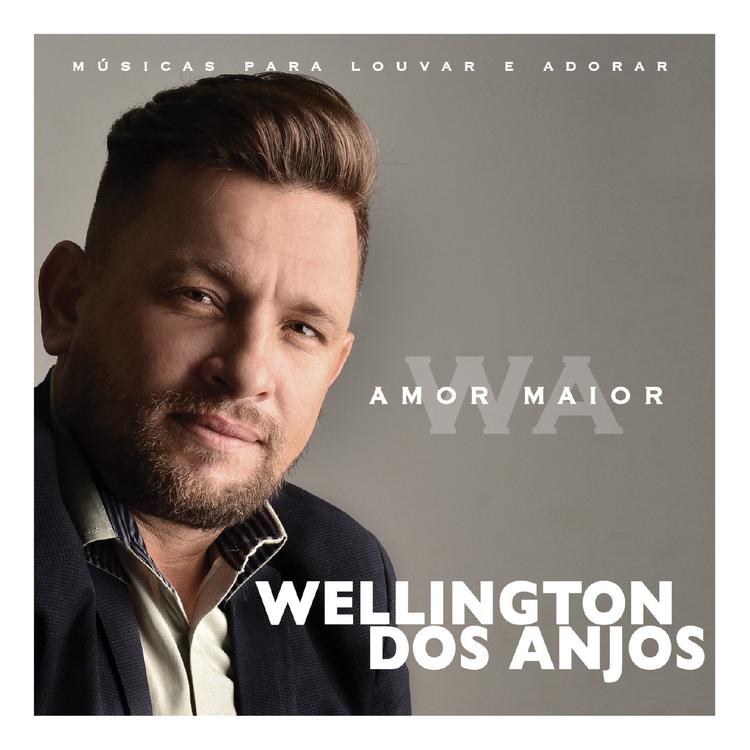 Wellington dos Anjos's avatar image