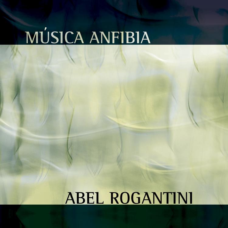 Abel Rogantini's avatar image