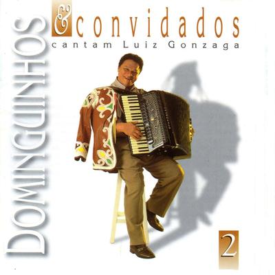 Dominguinhos e Convidados Cantam Luiz Gonzaga, Vol. 2's cover