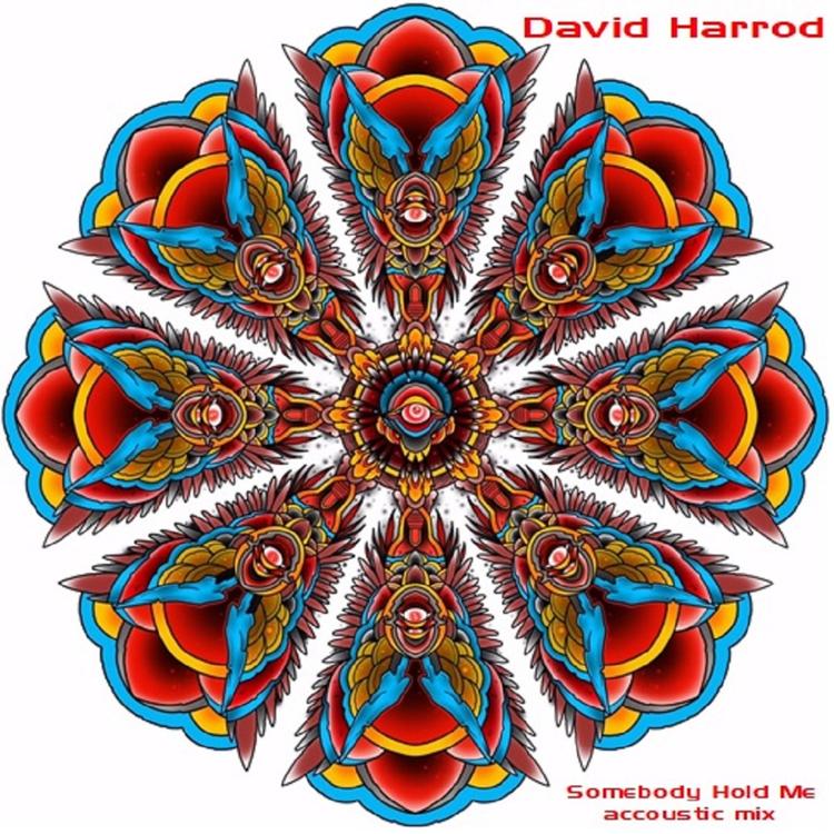 David Harrod's avatar image