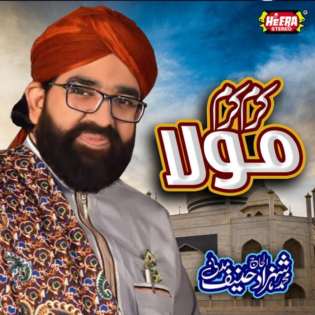 Shahzad Hanif Madni's avatar image