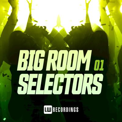 Big Room Selectors, 01's cover
