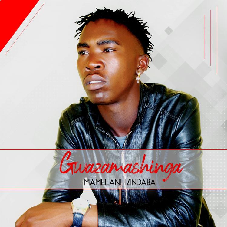 Gwazamashinga's avatar image