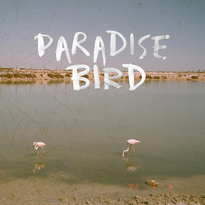 Simultaneously Dancing By Paradise Bird's cover