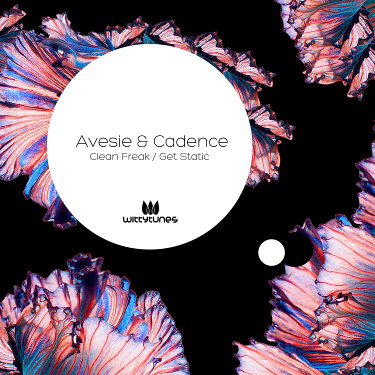 Avesie & Cadence's avatar image